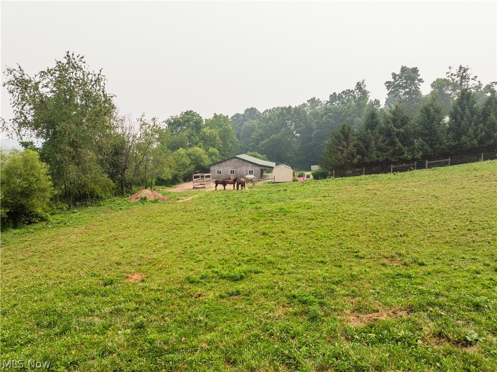 7803 Harrison Road Property Photo 31