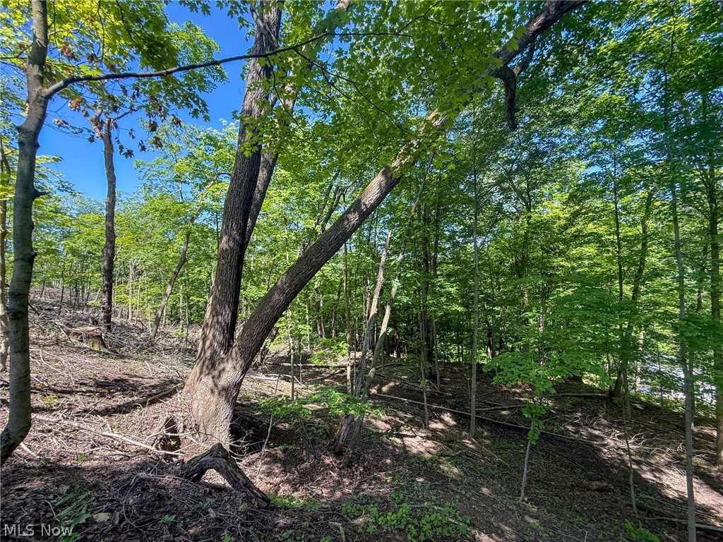 Lot 1 Altamont Rd Property Photo 1
