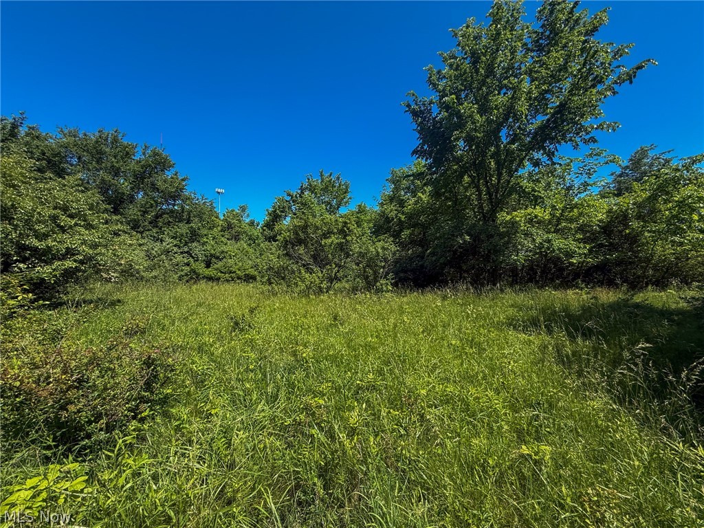 Lot 2 Altamont Rd Property Photo 1