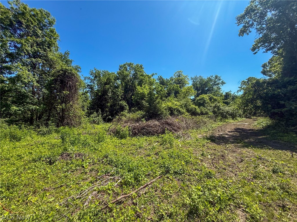 Lot 3 Altamont Rd Property Photo 2