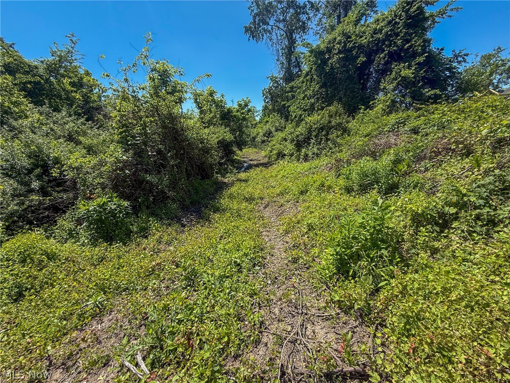 Lot 3 Altamont Rd Property Photo 3