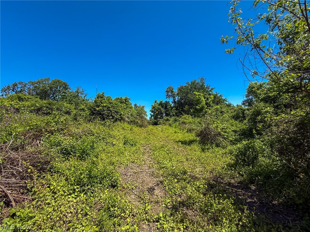 Lot 3 Altamont Rd Property Photo 4