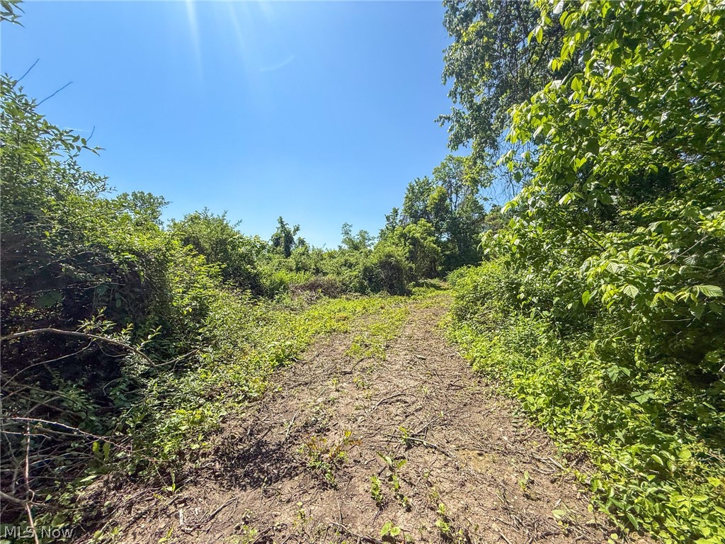Lot 3 Altamont Rd Property Photo 5