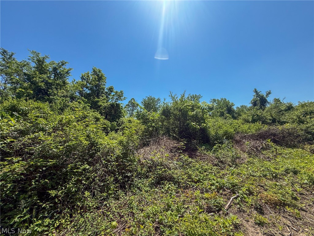 Lot 3 Altamont Rd Property Photo 6
