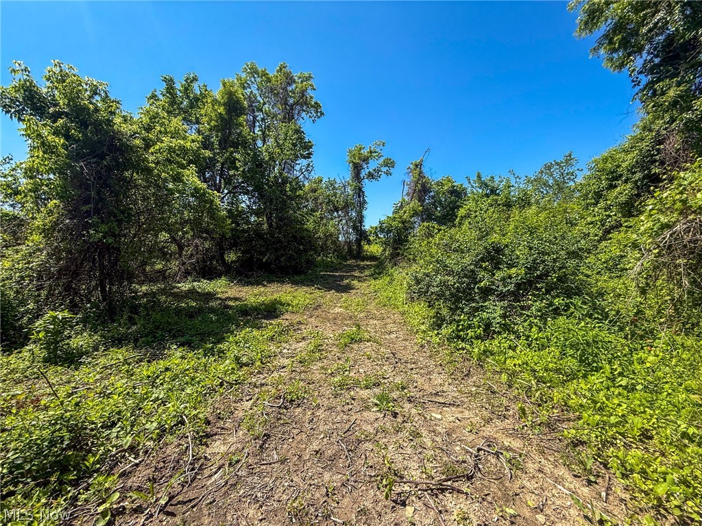 Lot 3 Altamont Rd Property Photo 7