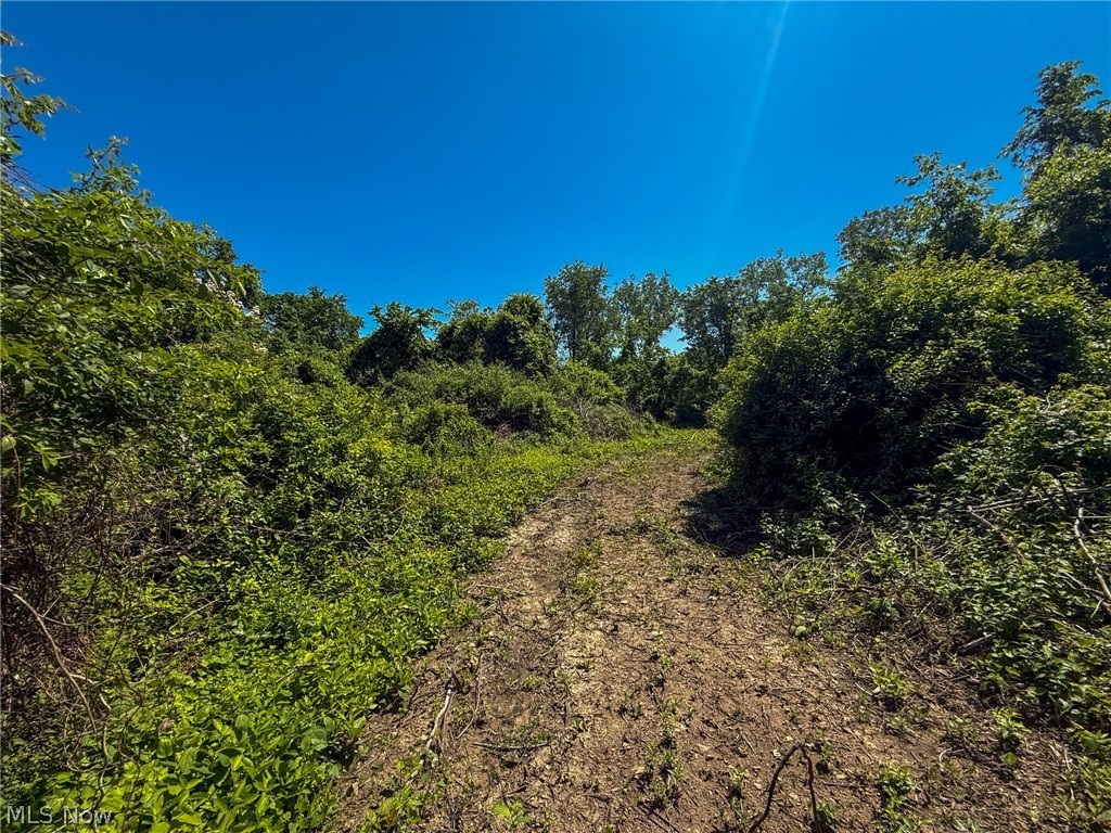 Lot 3 Altamont Rd Property Photo 8