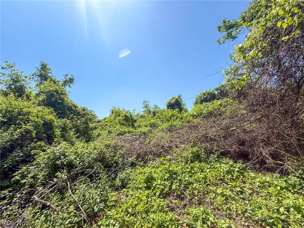 Lot 3 Altamont Rd Property Photo 9