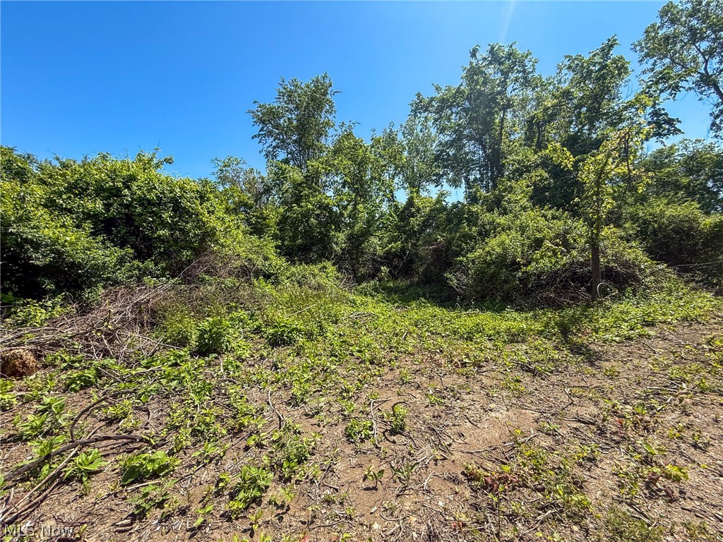 Lot 3 Altamont Rd Property Photo 10