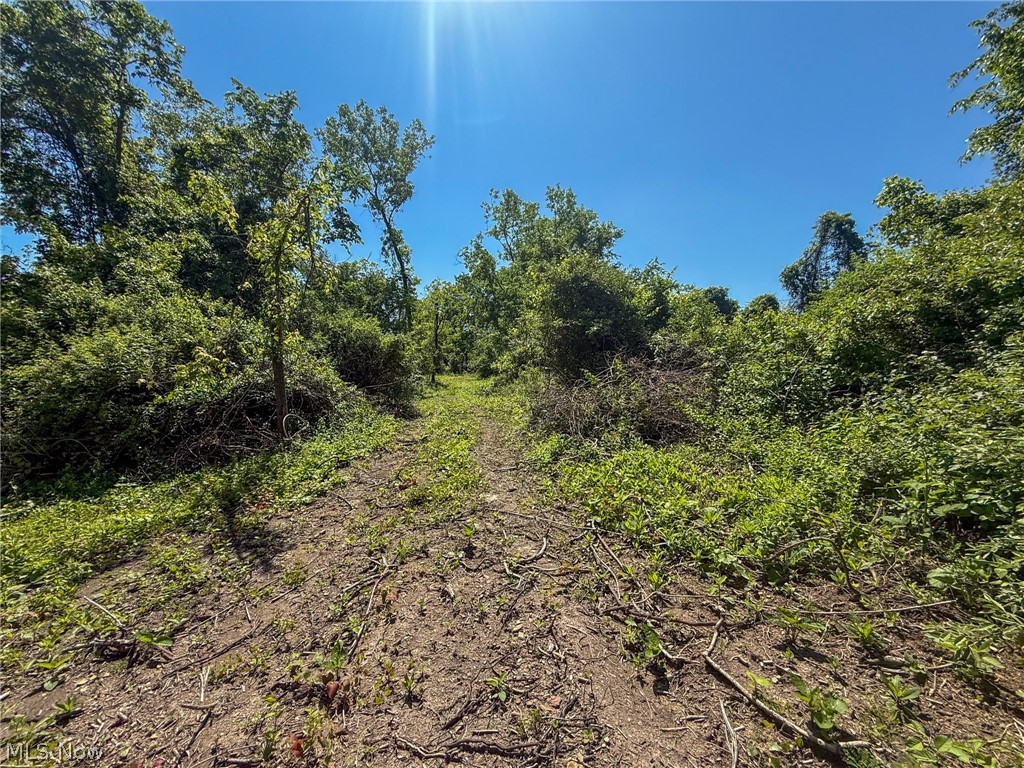 Lot 3 Altamont Rd Property Photo 11