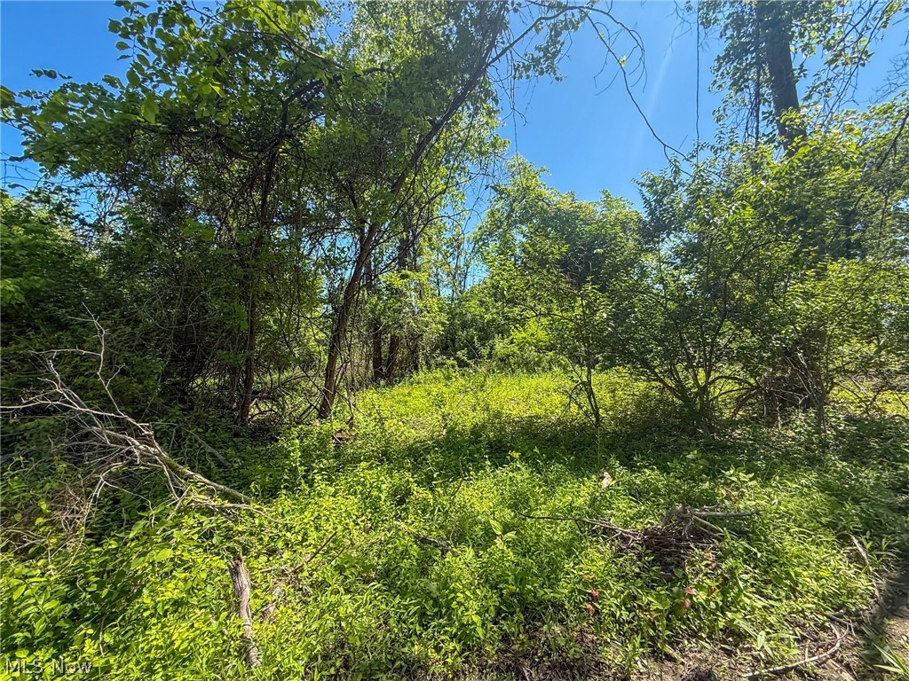 Lot 3 Altamont Rd Property Photo 12