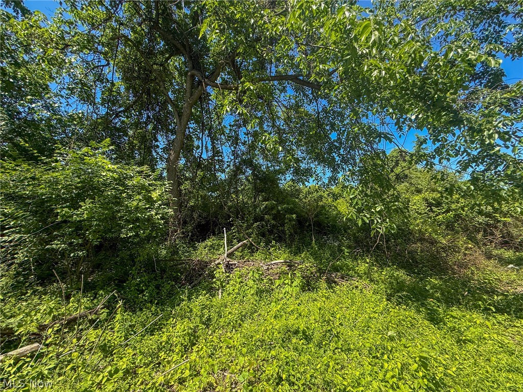 Lot 3 Altamont Rd Property Photo 13