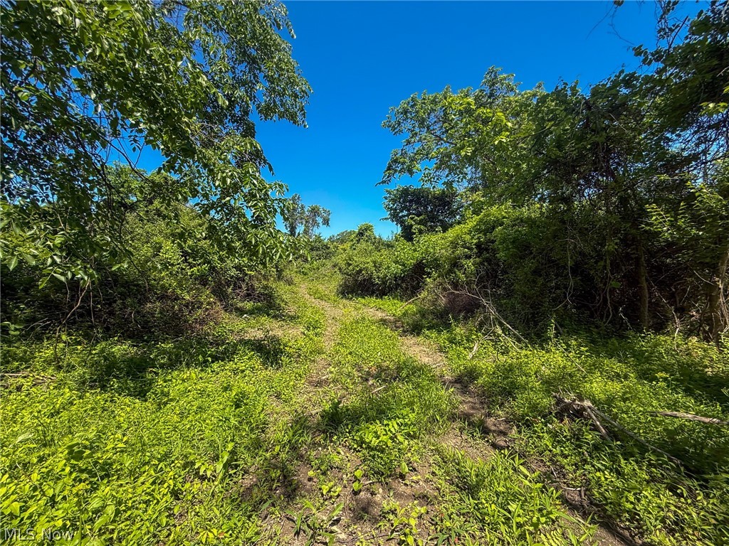 Lot 3 Altamont Rd Property Photo 14