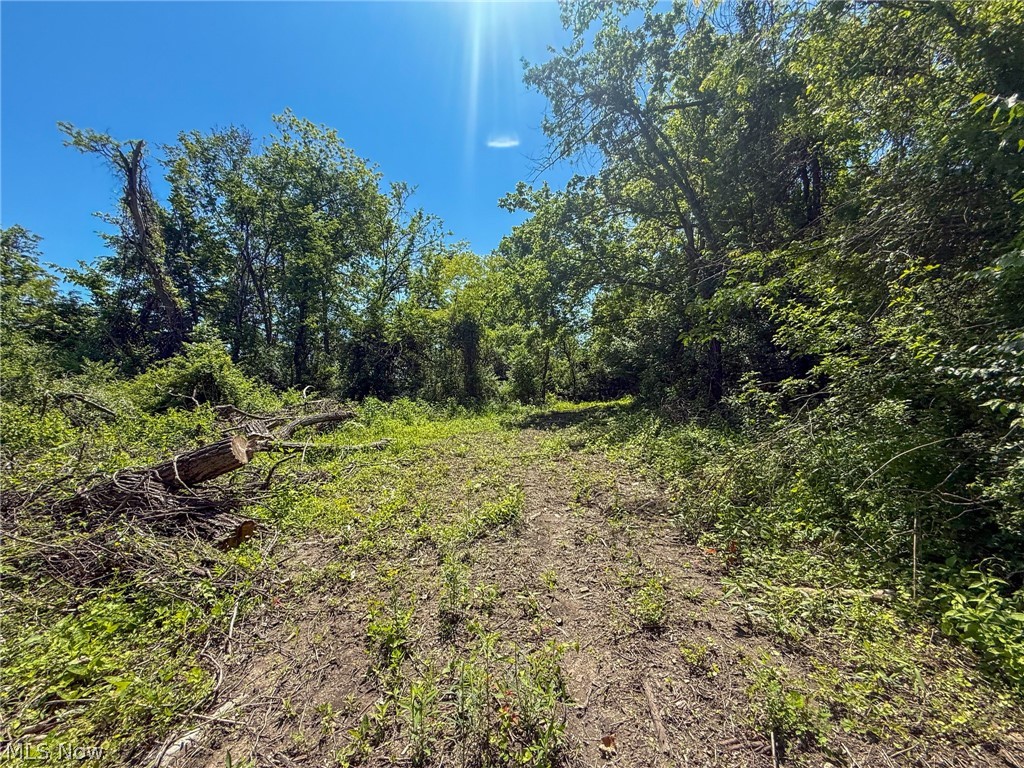 Lot 3 Altamont Rd Property Photo 15