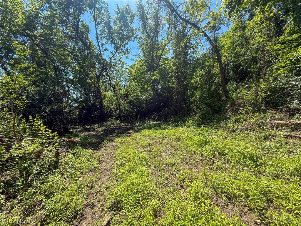 Lot 3 Altamont Rd Property Photo 16