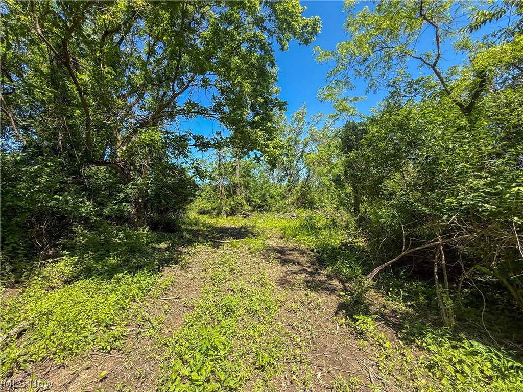 Lot 3 Altamont Rd Property Photo 17