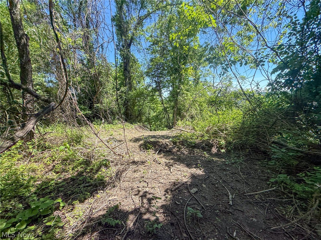 Lot 3 Altamont Rd Property Photo 18