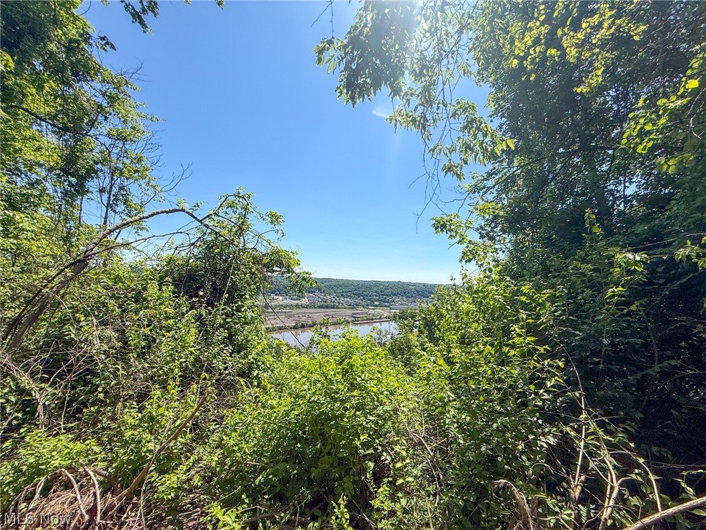 Lot 3 Altamont Rd Property Photo 19