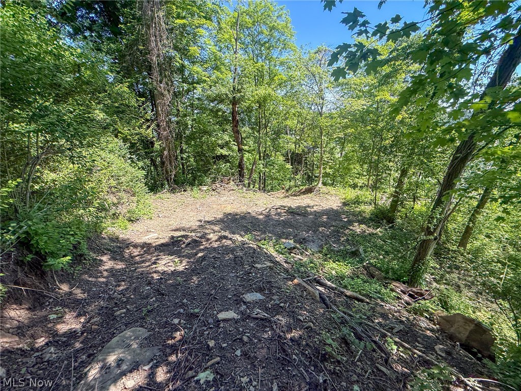 Lot 3 Altamont Rd Property Photo 20