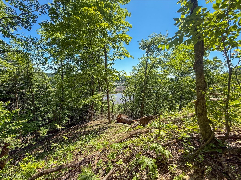 Lot 3 Altamont Rd Property Photo 21