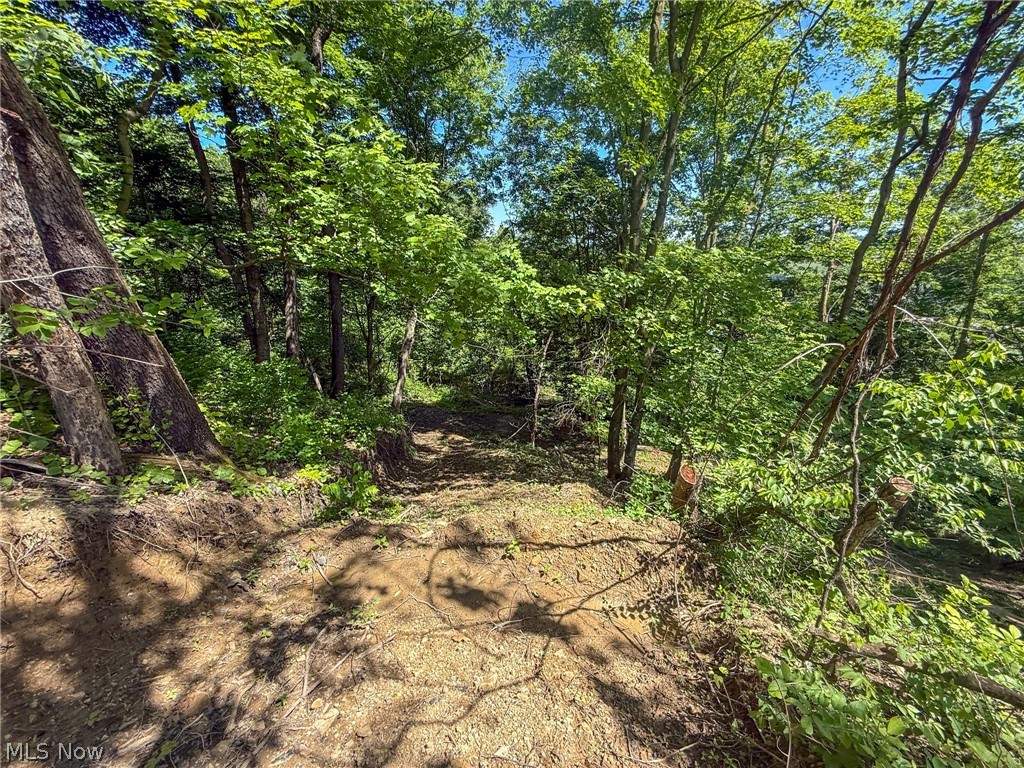 Lot 3 Altamont Rd Property Photo 22