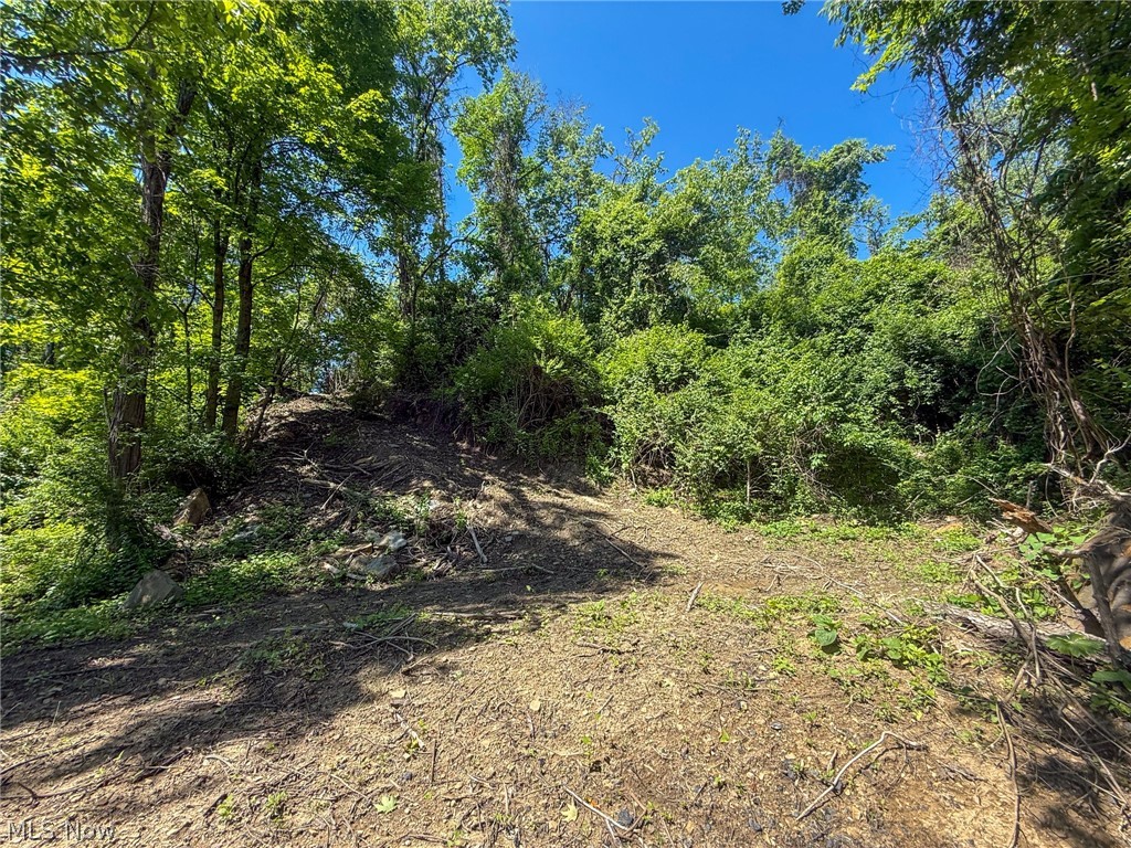 Lot 3 Altamont Rd Property Photo 23