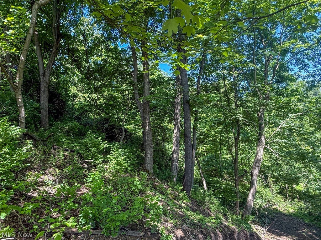 Lot 3 Altamont Rd Property Photo 24