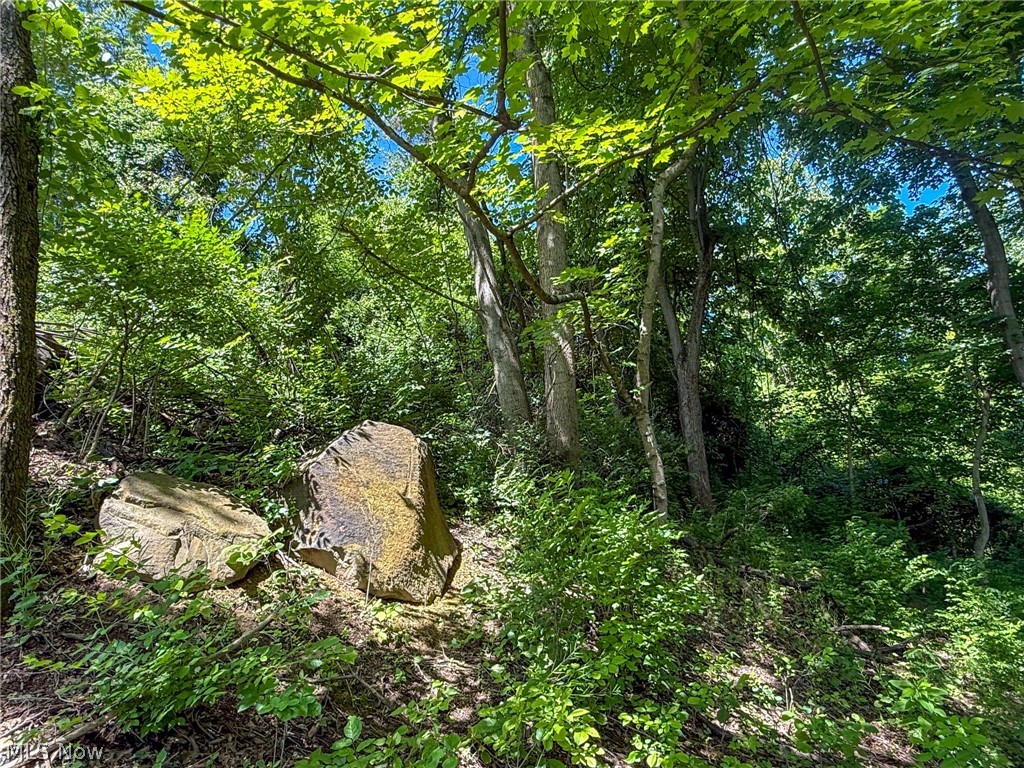 Lot 3 Altamont Rd Property Photo 25