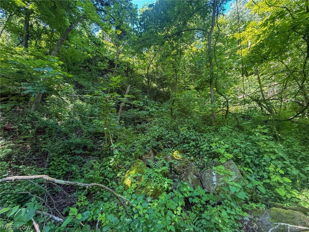 Lot 3 Altamont Rd Property Photo 26