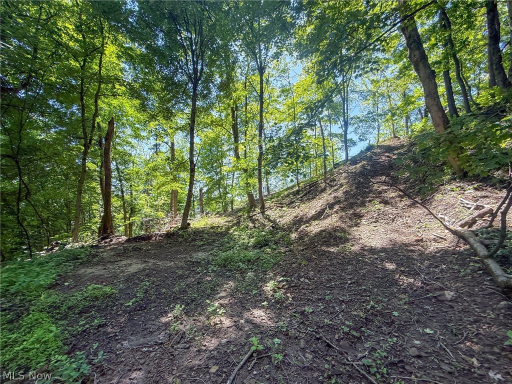 Lot 3 Altamont Rd Property Photo 27