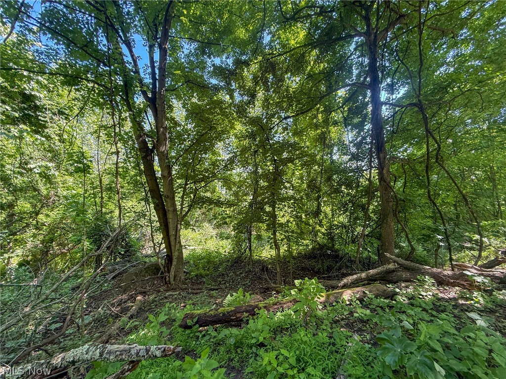 Lot 3 Altamont Rd Property Photo 28