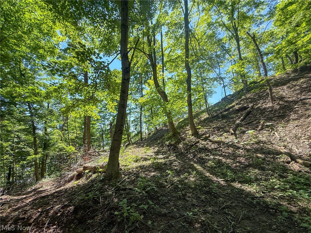 Lot 3 Altamont Rd Property Photo 29