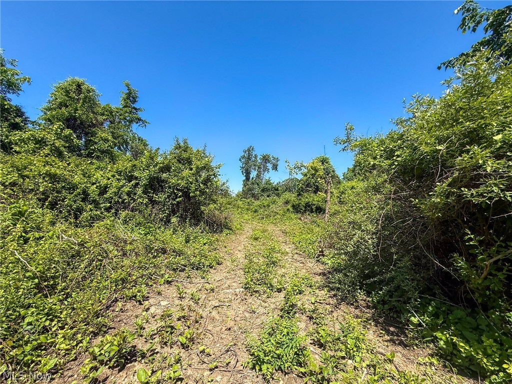 Lot 3 Altamont Rd Property Photo 30