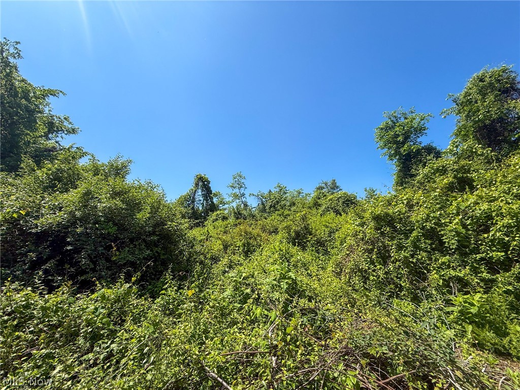 Lot 3 Altamont Rd Property Photo 31