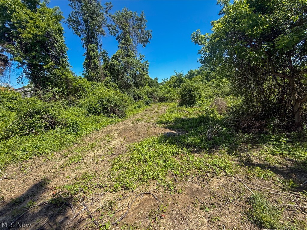 Lot 3 Altamont Rd Property Photo 32