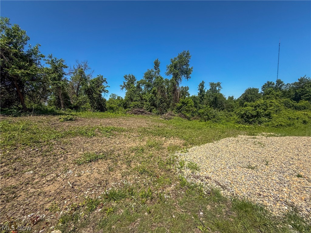 Lot 4 Altamont Rd Property Photo 1