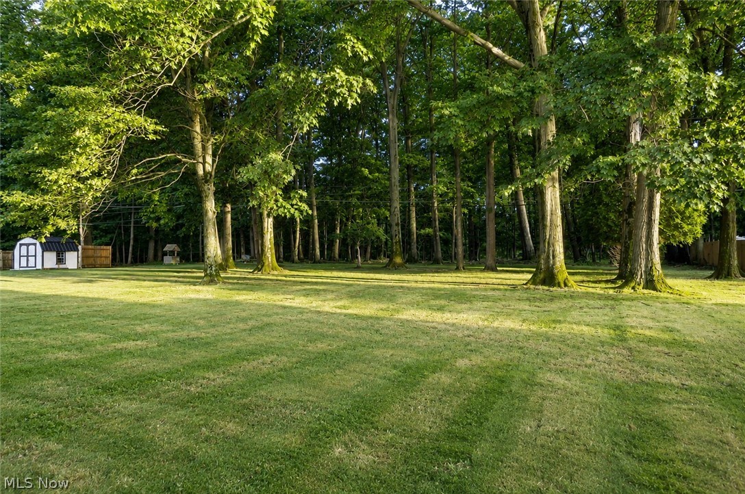 6221 Sequoia Drive Property Photo 9