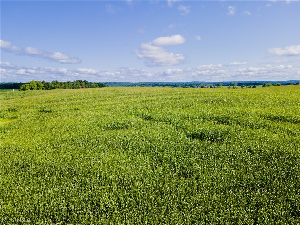 County Road 75 Property Photo 3