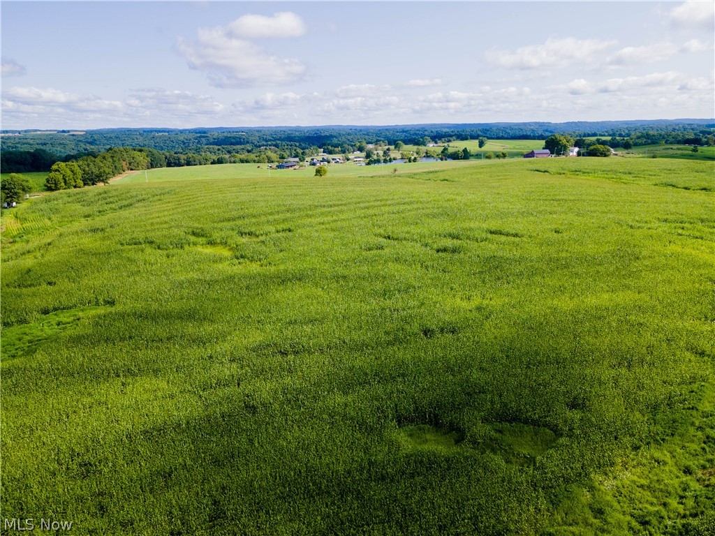 County Road 75 Property Photo 4