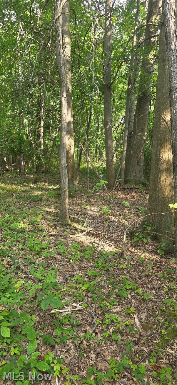 Lincoln Boulevard Property Photo 1