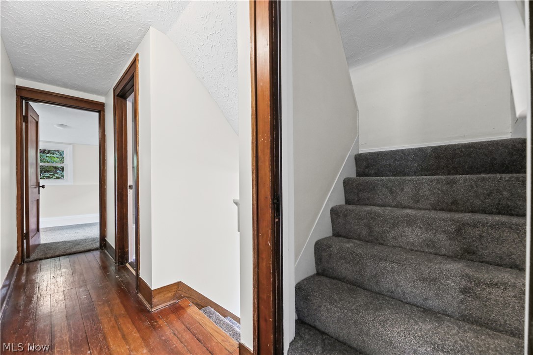 330 Cleveland Street Property Photo 18