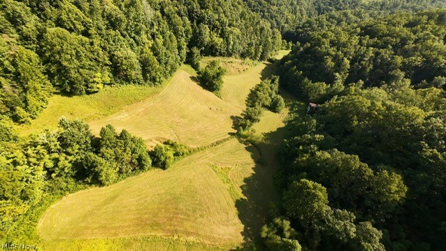 001 Mud Fork Road Property Photo 1