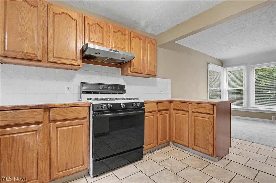 1761 Marks Avenue Property Photo 25