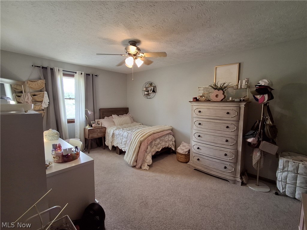 136 Tera Manor Property Photo 16