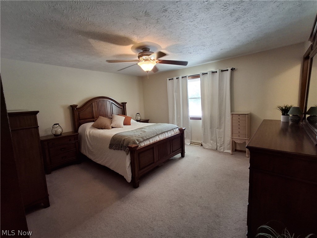 136 Tera Manor Property Photo 18