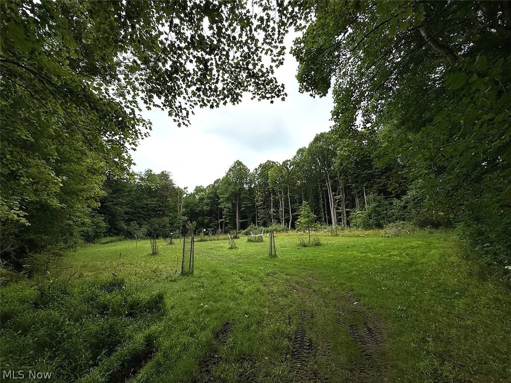 10990 Mayfield Road Property Photo 20