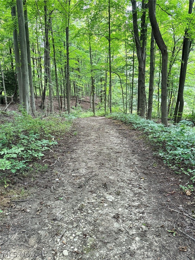 10990 Mayfield Road Property Photo 21