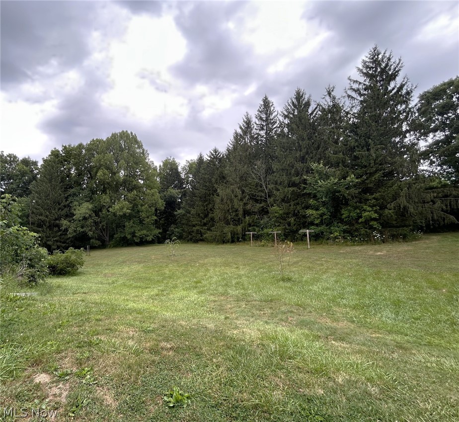 10990 Mayfield Road Property Photo 22