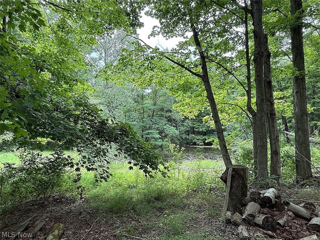 10990 Mayfield Road Property Photo 23