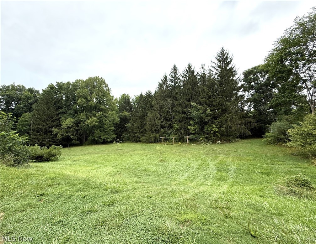 10990 Mayfield Road Property Photo 24