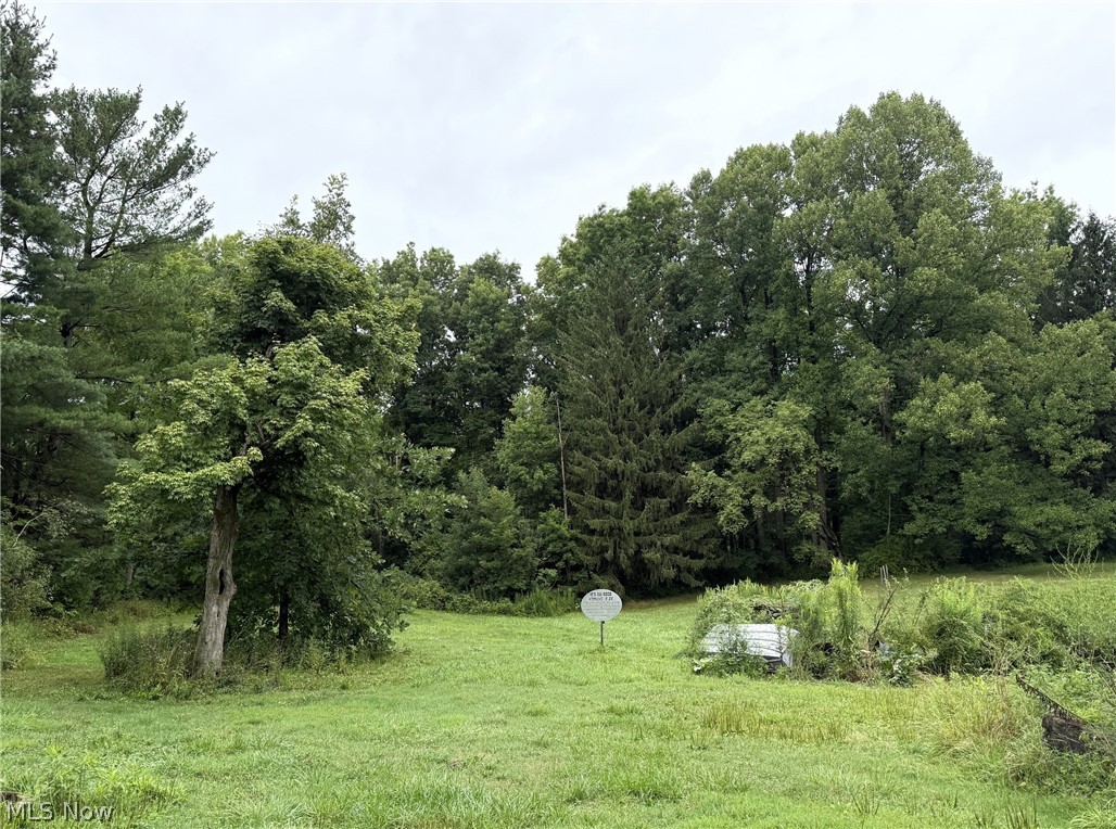 10990 Mayfield Road Property Photo 25